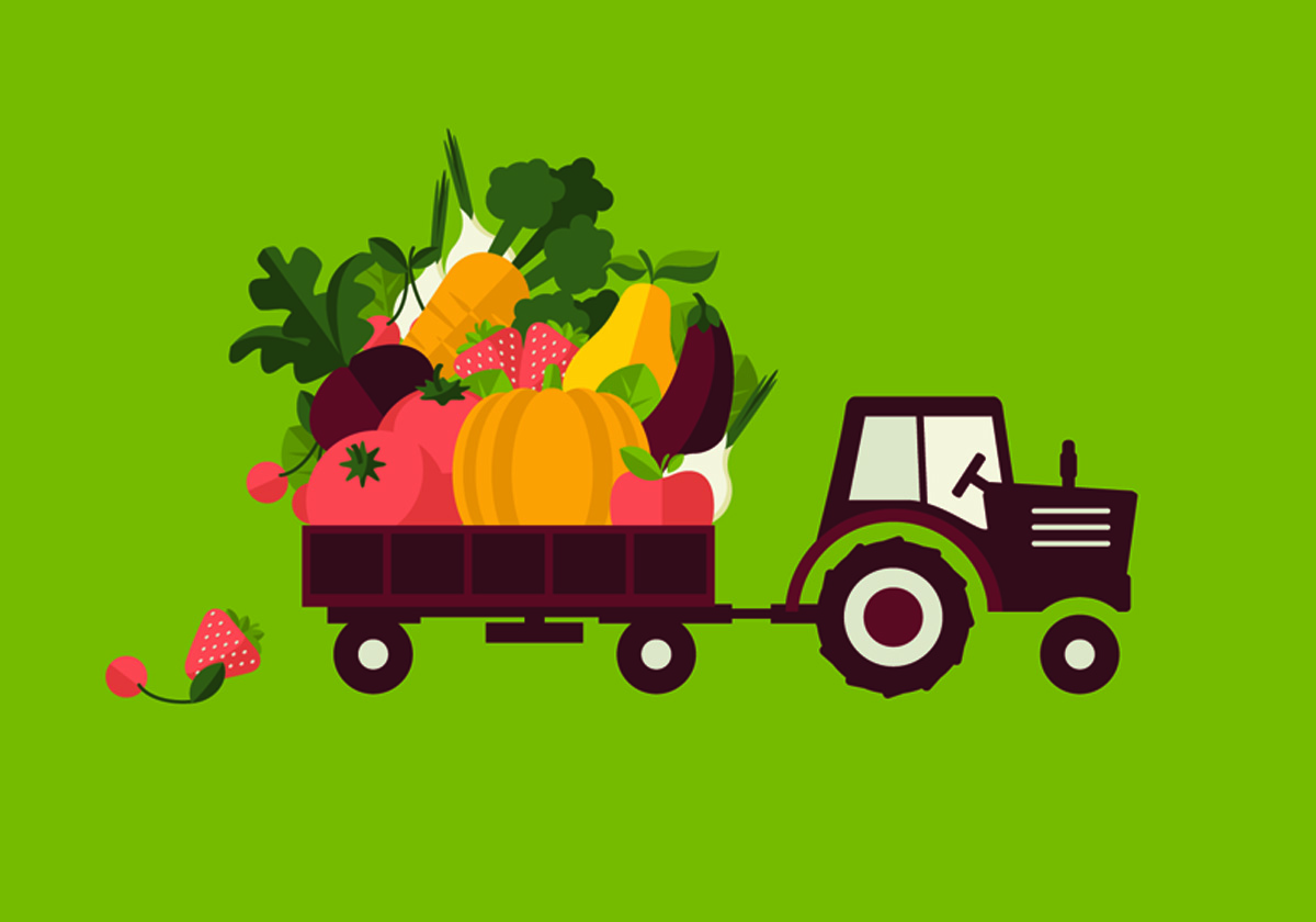 Food%20to%20Go%20Vector%201200x840